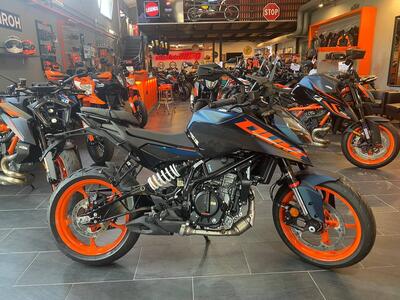 KTM 125 Duke (2024 - 26) nuova