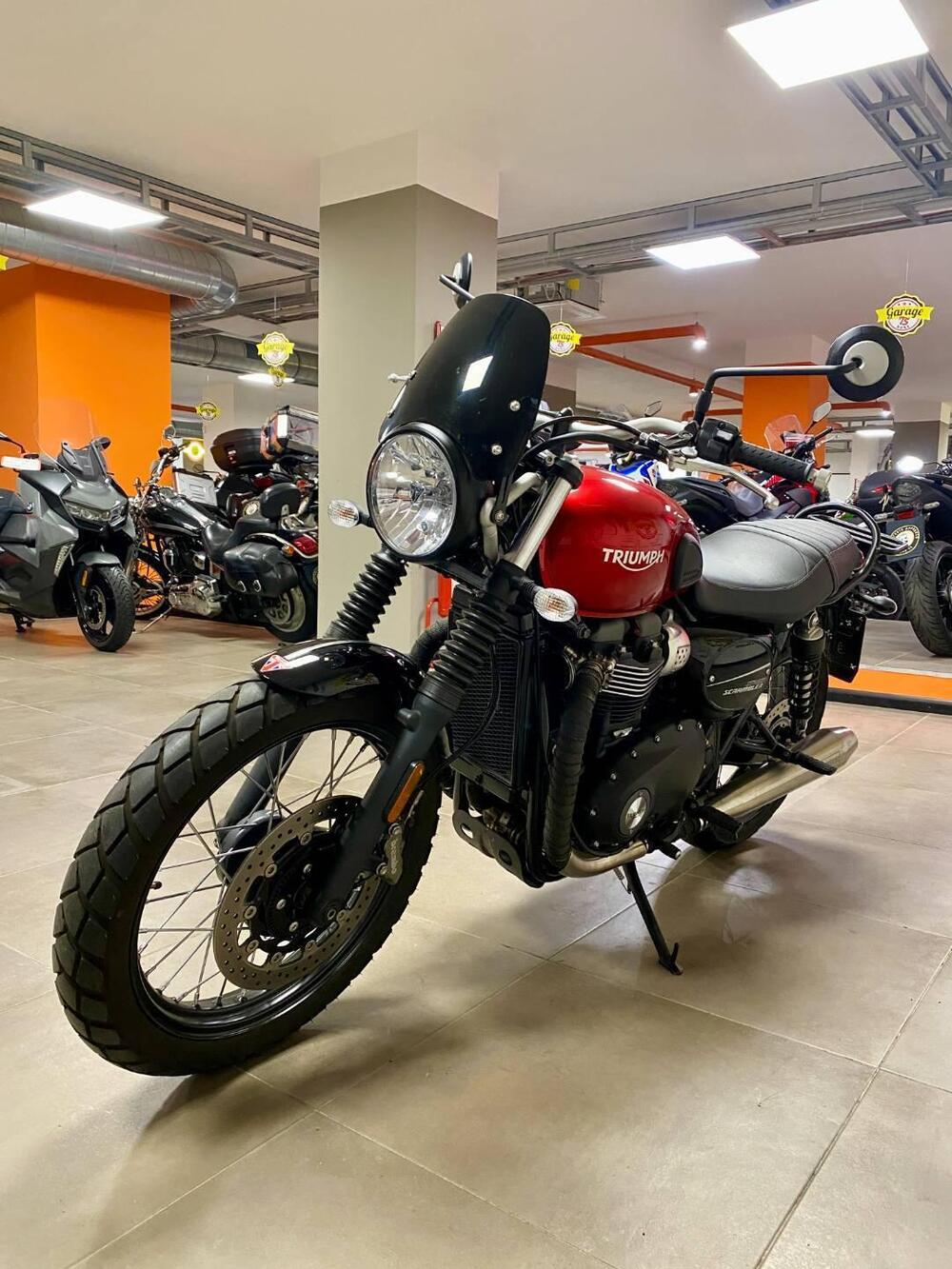 Triumph Street Scrambler 900 (2019 - 20) (3)