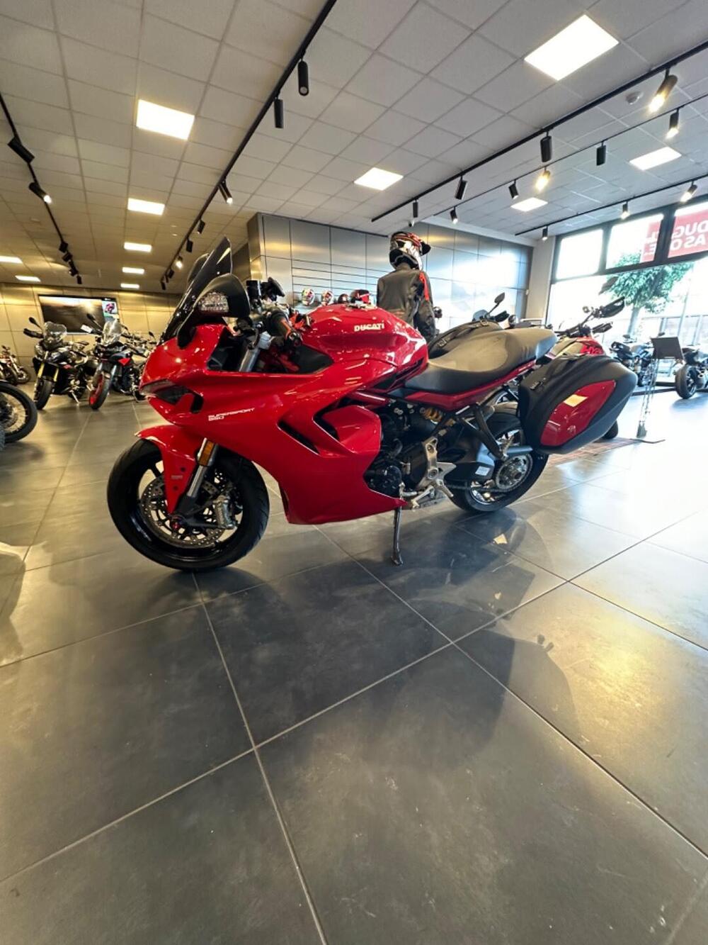 Ducati SuperSport 950 (2021 - 24) (5)