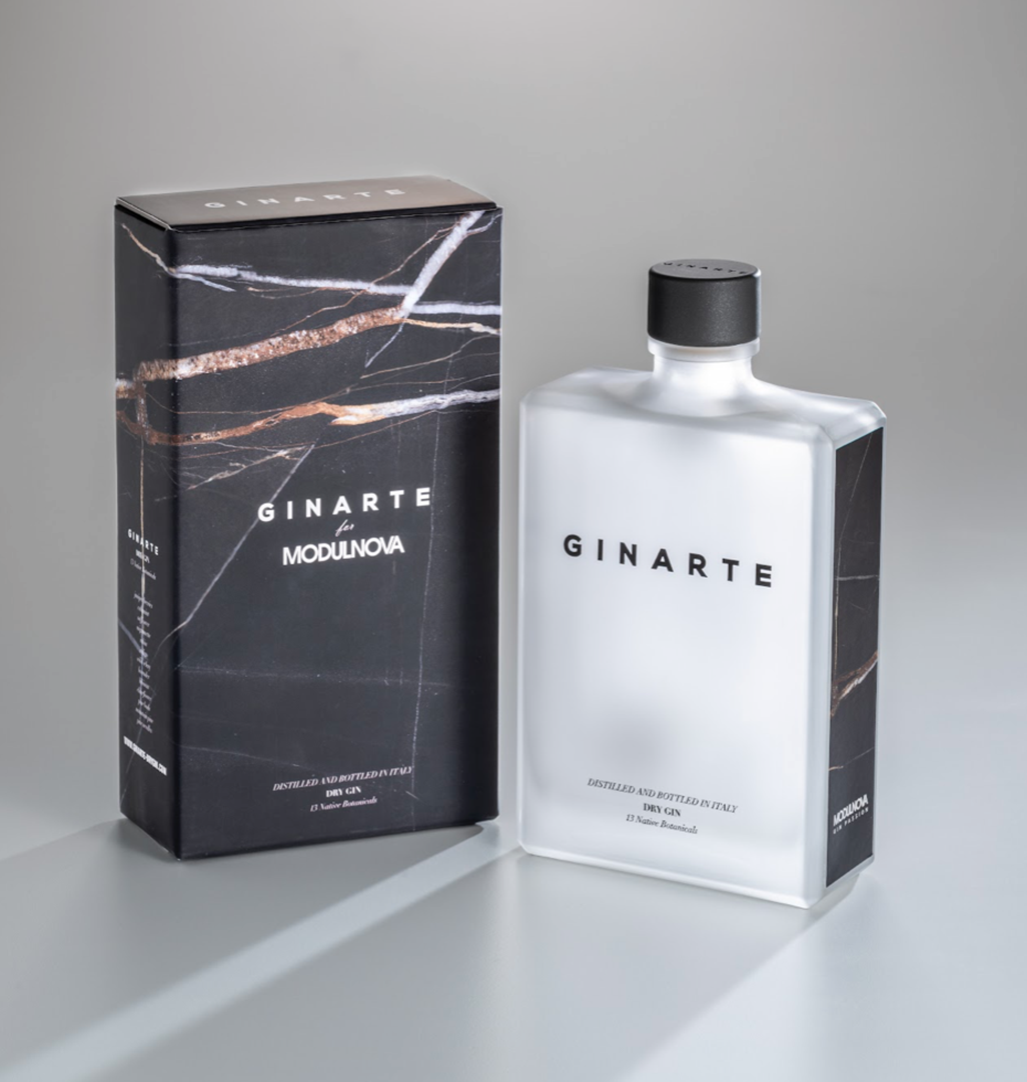 Ginarte presenta la nuova special realease per Modulnova