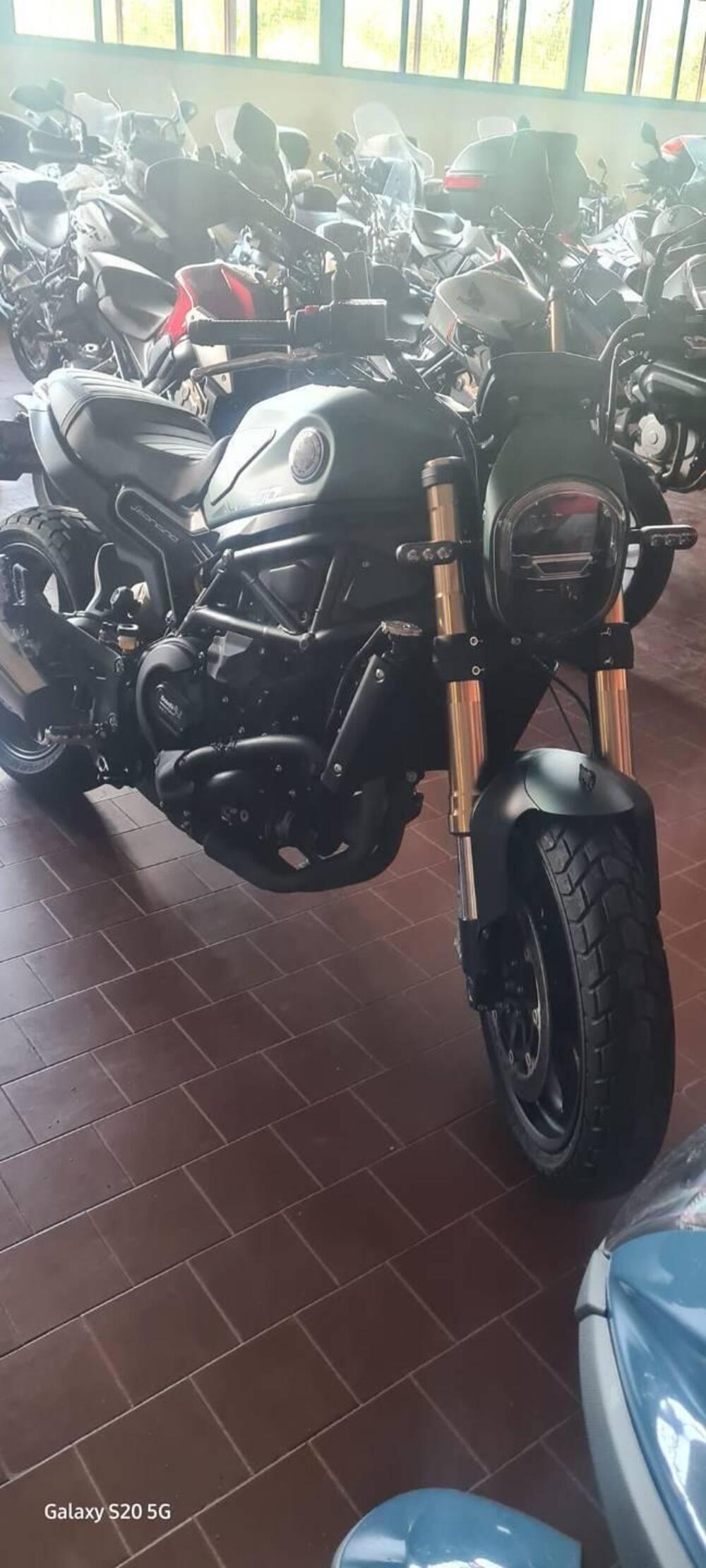 Benelli Leoncino 800 (2022 - 25)