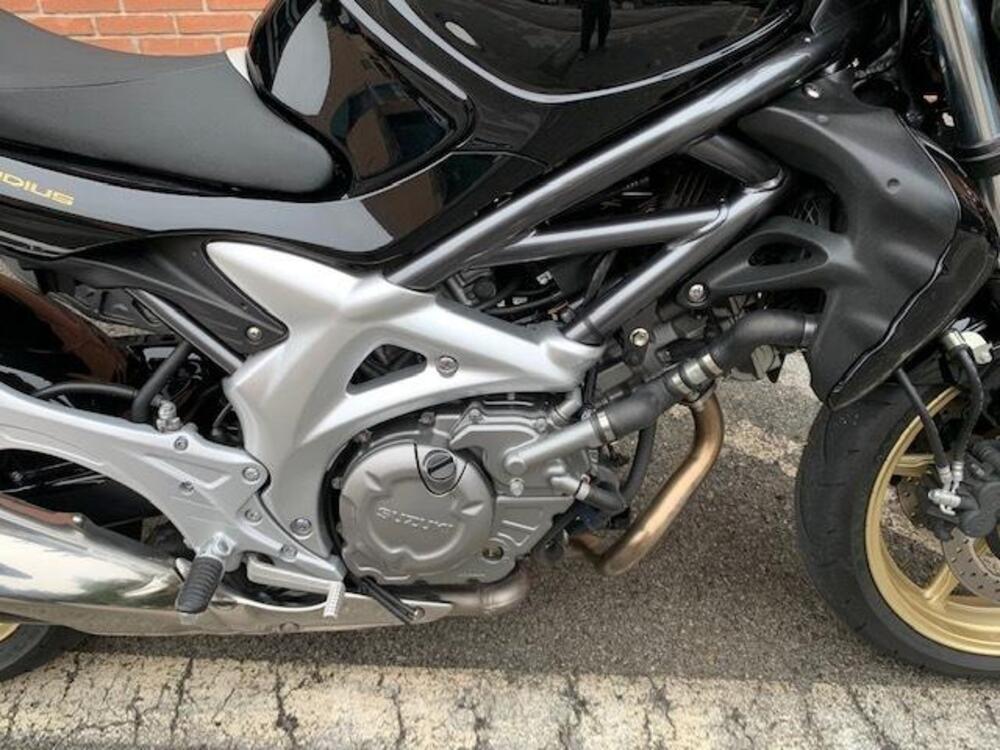 Suzuki Gladius 650 SFV (2009 - 15) (6)