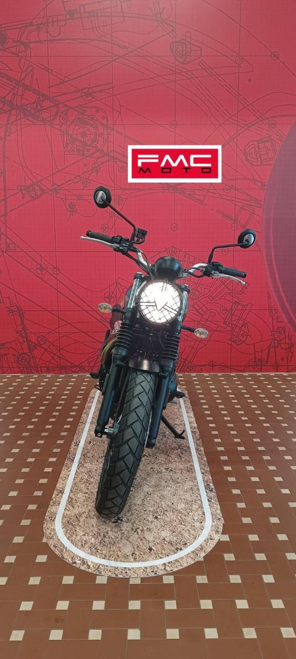 Triumph Street Scrambler 900 Gold Line Edition (2021 - 23) (6)