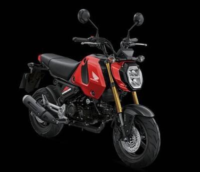 Honda MSX 125 Grom (2021 - 25) usata