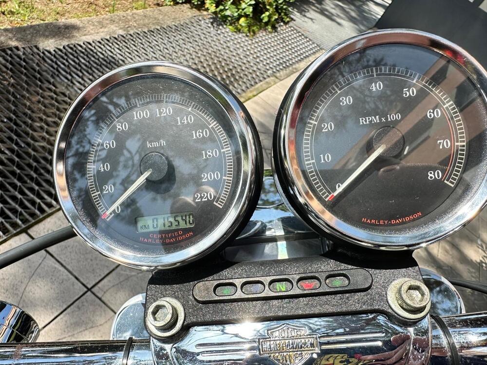 Harley-Davidson 1200 Roadster (2002 - 05) - XL 1200R (5)