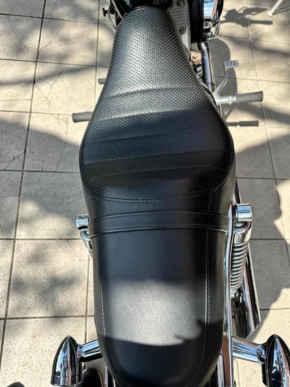 Harley-Davidson 1200 Roadster (2002 - 05) - XL 1200R (7)