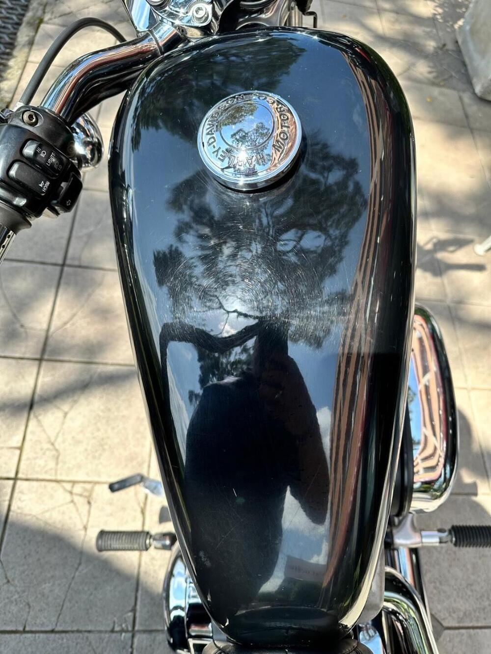 Harley-Davidson 1200 Roadster (2002 - 05) - XL 1200R (10)