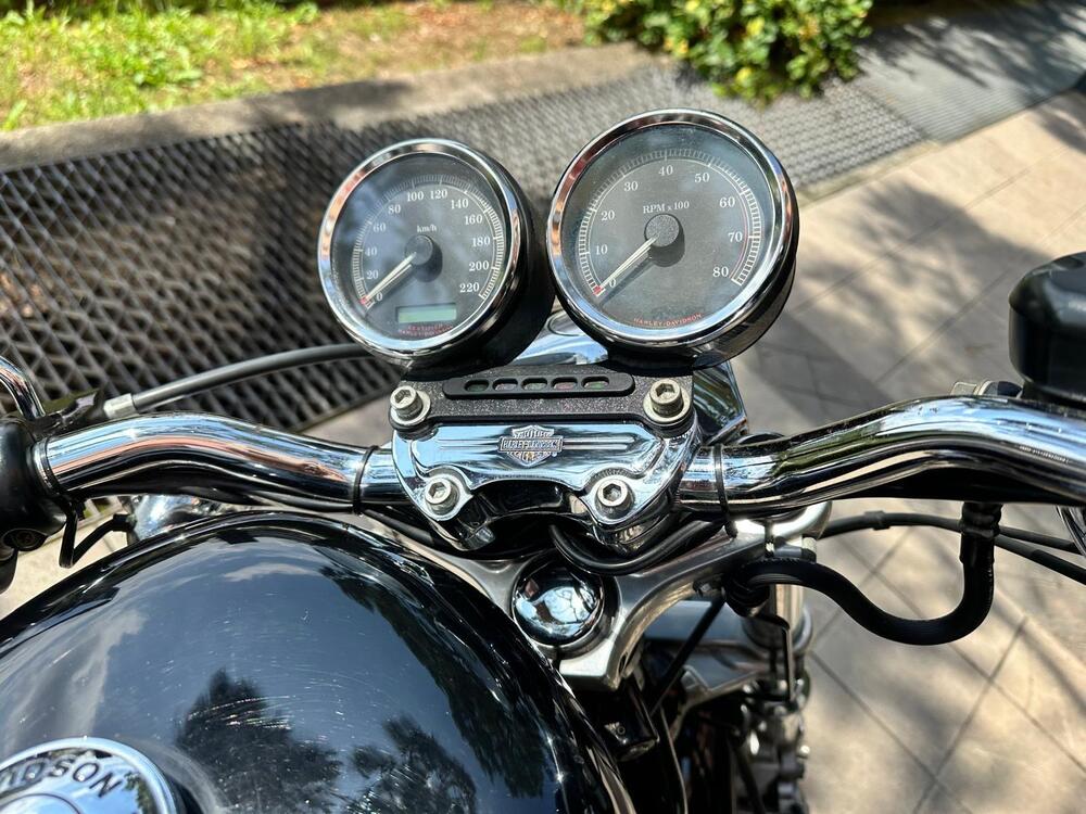 Harley-Davidson 1200 Roadster (2002 - 05) - XL 1200R (15)