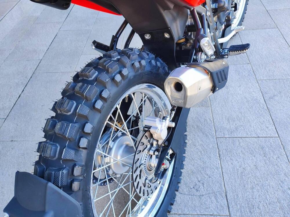 Betamotor Alp 4.0 (2024 - 26) (5)