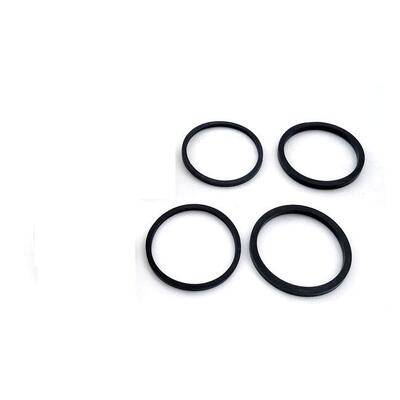 Kit paraoli pinza freno posteriore per Sportster d 