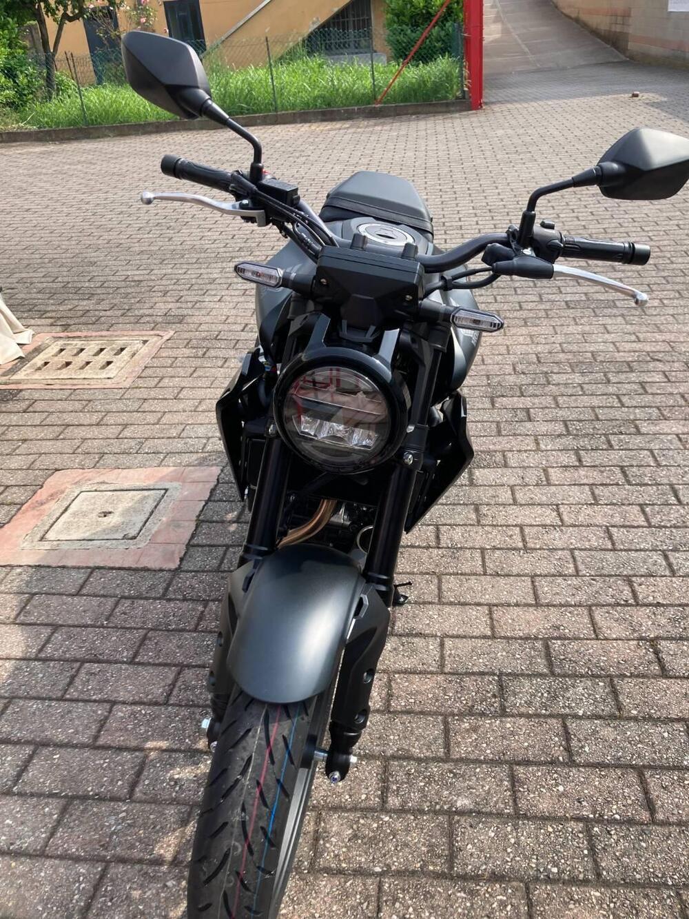 Honda CB 300 R (2022 - 25)