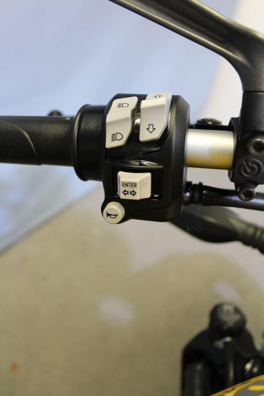 Ducati Monster 821 (2018 - 20) (10)