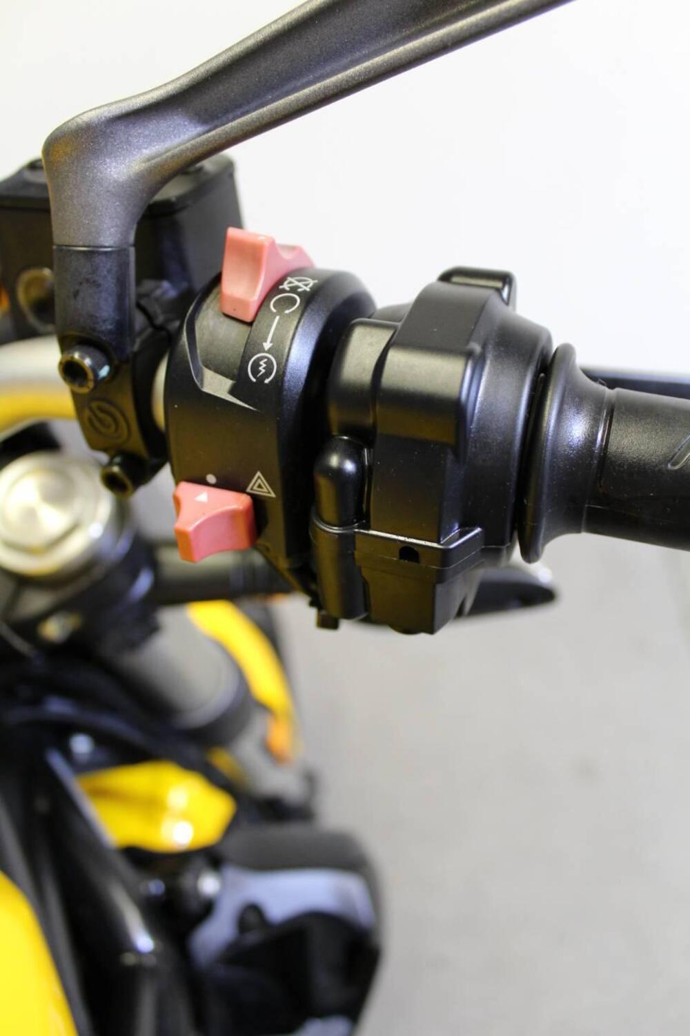 Ducati Monster 821 (2018 - 20) (11)