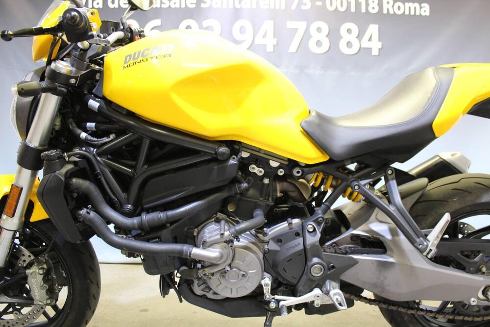 Ducati Monster 821 (2018 - 20) (16)