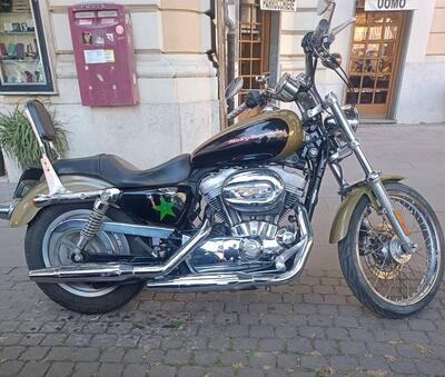 Harley-Davidson 883 Custom (2006 - 07) - XL 883C usata