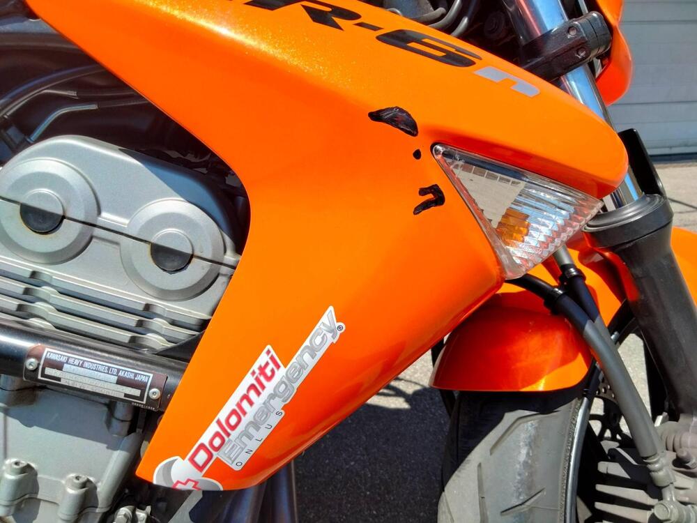 Kawasaki ER-6N (2006 - 09) (11)