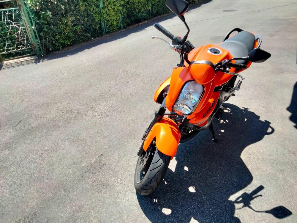 Kawasaki ER-6N (2006 - 09) (3)