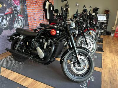 Bsa Gold Star 650 (2024 - 25) nuova