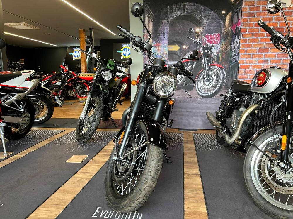 Bsa Gold Star 650 (2024 - 25) (4)