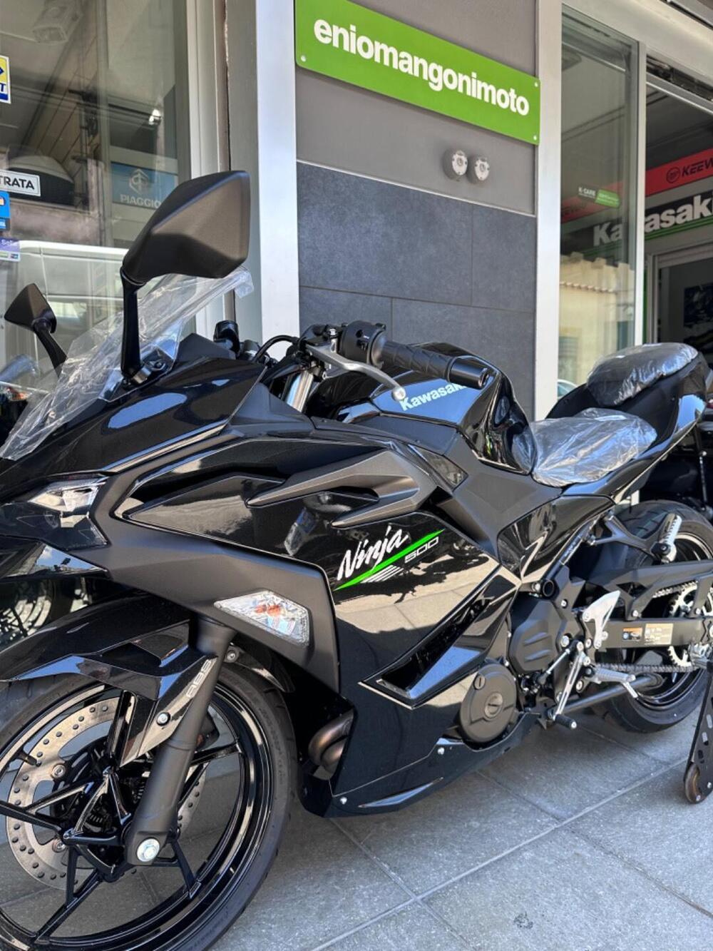 Kawasaki Ninja 500 (2024 - 26) (3)