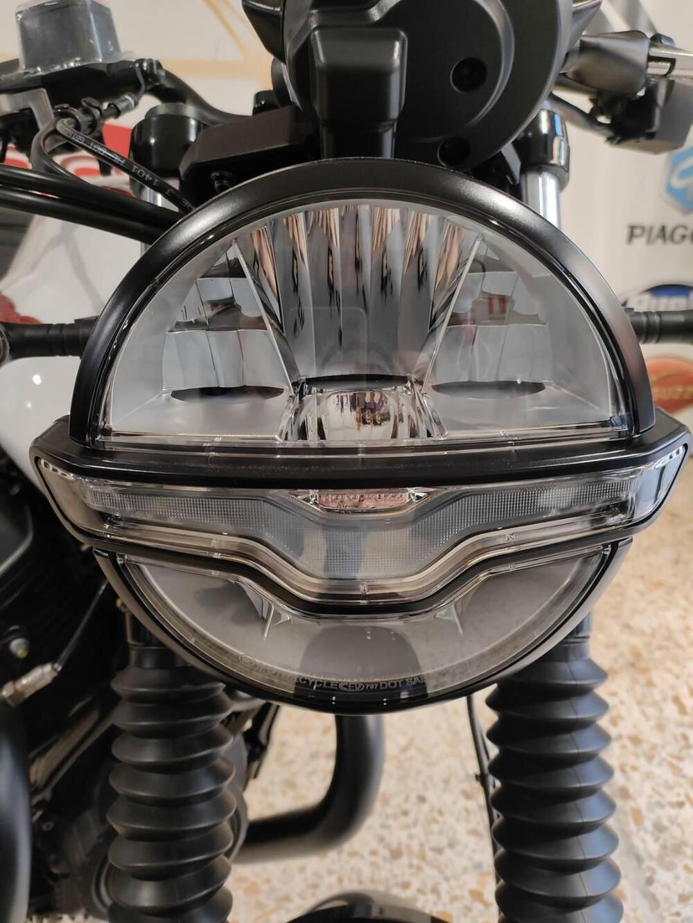 Moto Guzzi V7 Stone Ten (2024 - 25) (5)