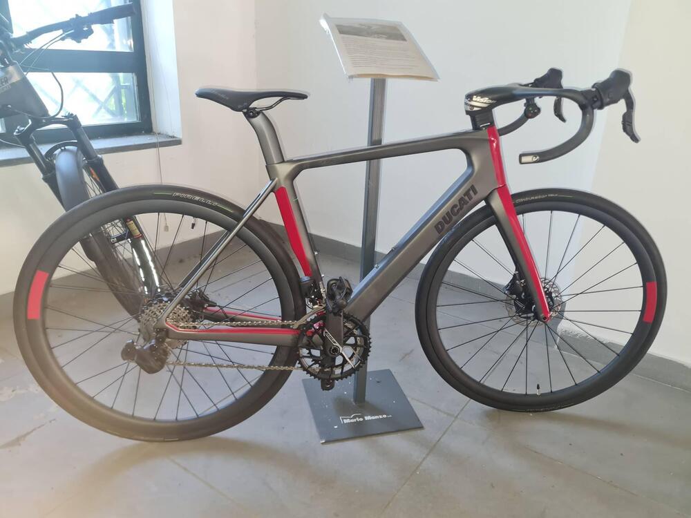 Ducati Futa (2022 - 25)