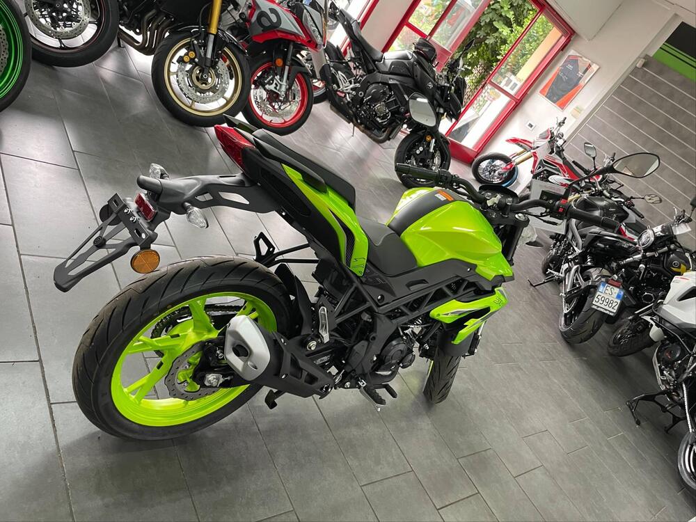 Benelli BN 125 (2021 - 25) (5)