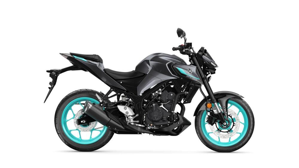 Yamaha MT-03 (2022 - 24) (6)