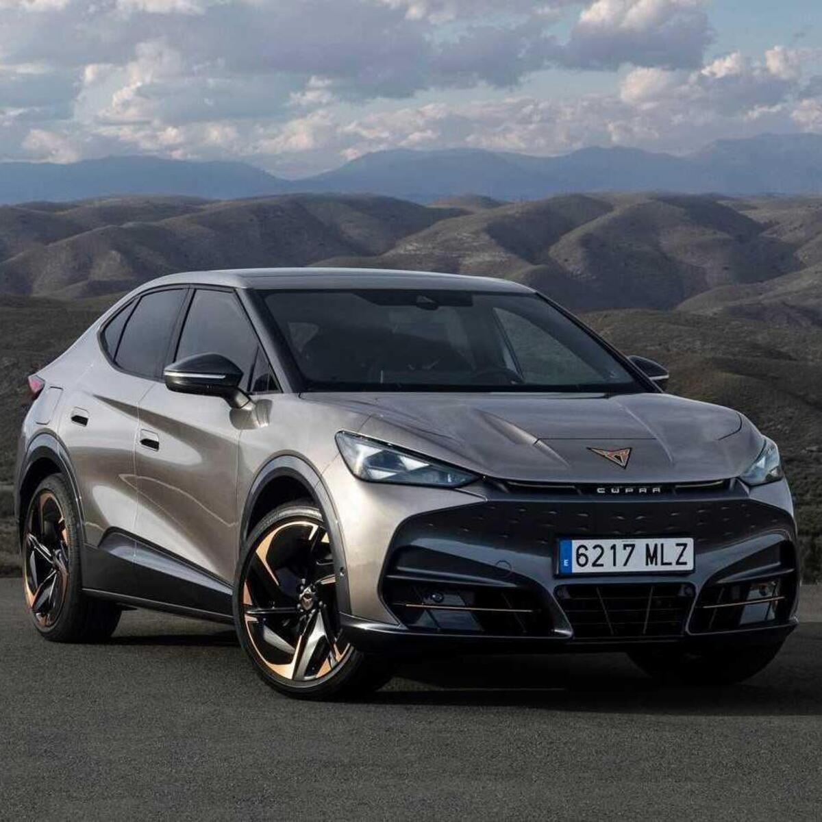 Cupra Tavascan (2024--&gt;&gt;)