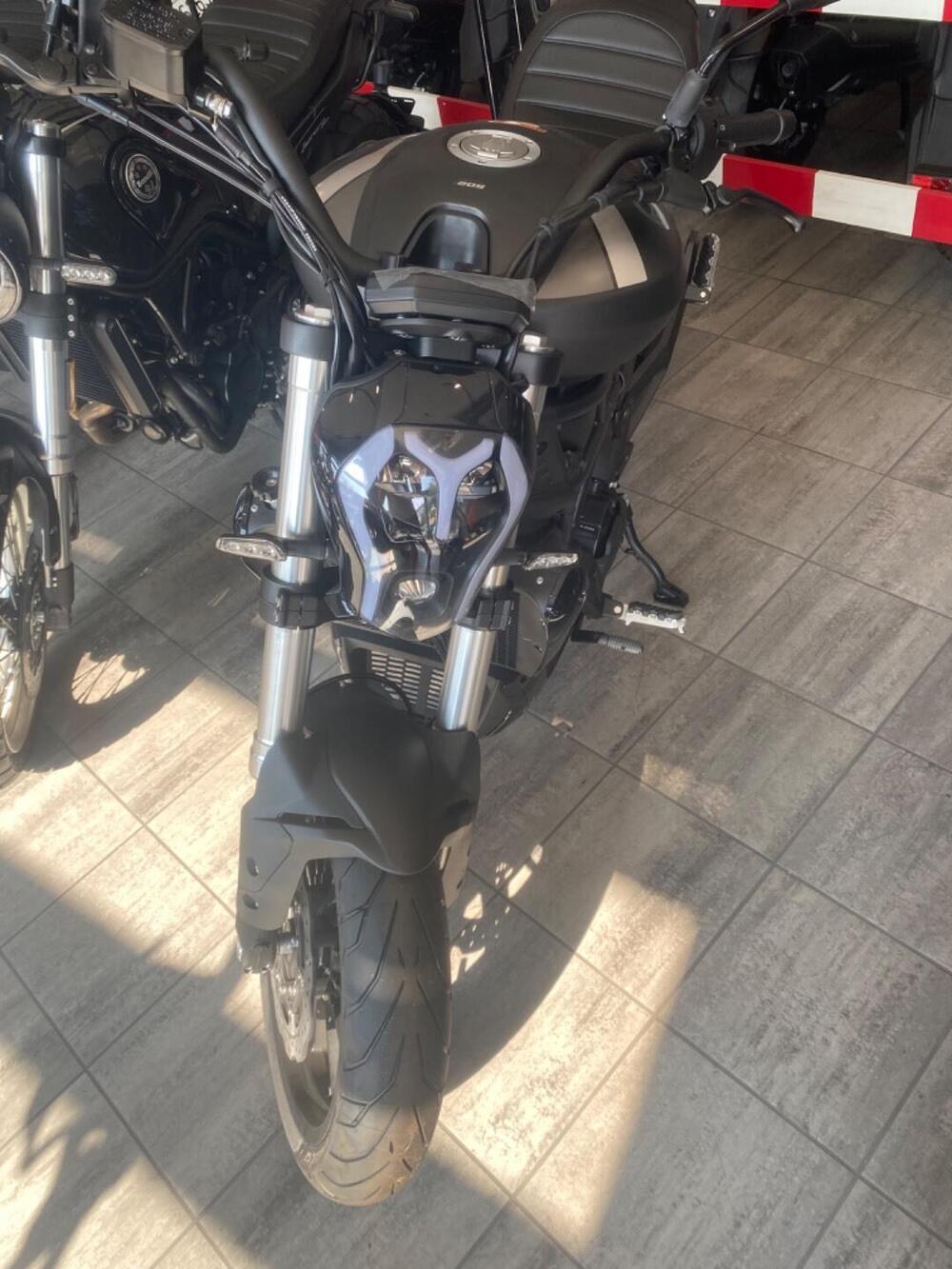 Benelli 502 C (2021 - 25) (3)