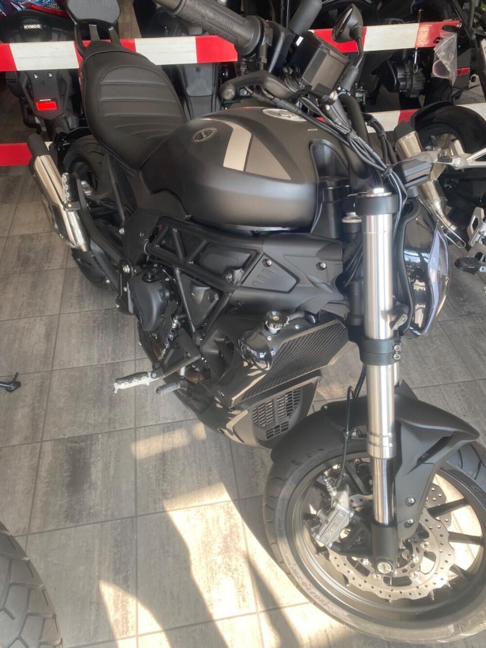 Benelli 502 C (2021 - 25) (4)