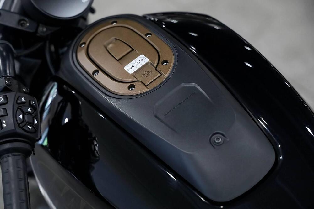 Harley-Davidson 1200 Custom (2017) - XL 1200C (10)