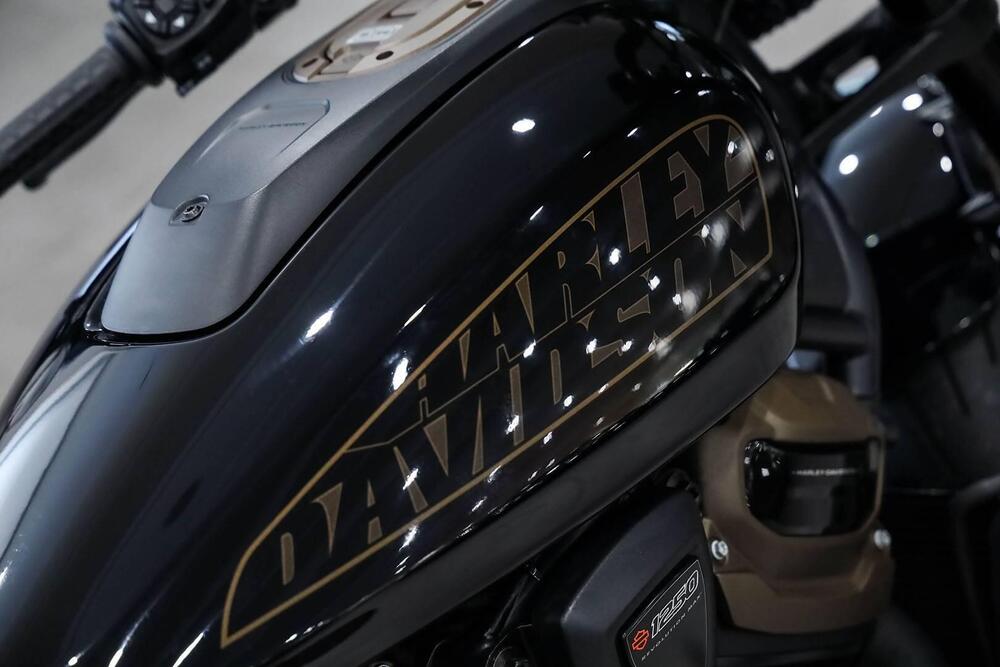 Harley-Davidson 1200 Custom (2017) - XL 1200C (13)