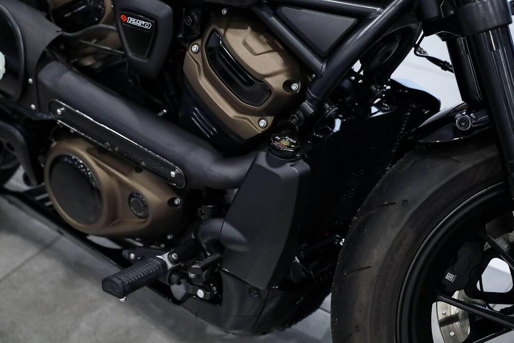 Harley-Davidson 1200 Custom (2017) - XL 1200C (14)