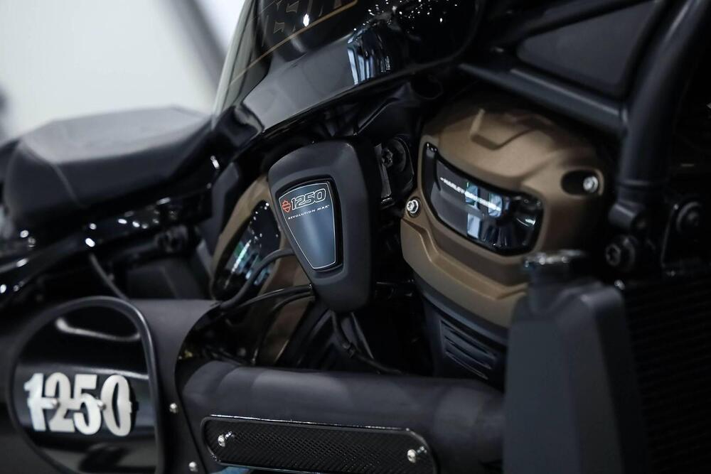 Harley-Davidson 1200 Custom (2017) - XL 1200C (15)