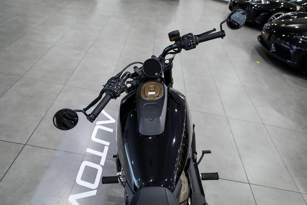 Harley-Davidson 1200 Custom (2017) - XL 1200C (17)