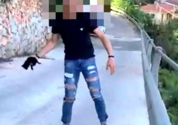 Il ragazzo che lancia un gatto da un ponte e viene linciato sui social racconta chi siamo diventati: non solo lui ma tutti noi 