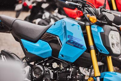 Honda MSX 125, aggiornamento 2025 per la mini &ldquo;streetfighter&rdquo; 