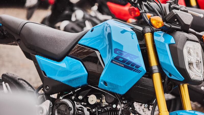 Honda MSX 125, aggiornamento 2025 per la mini &ldquo;streetfighter&rdquo; 