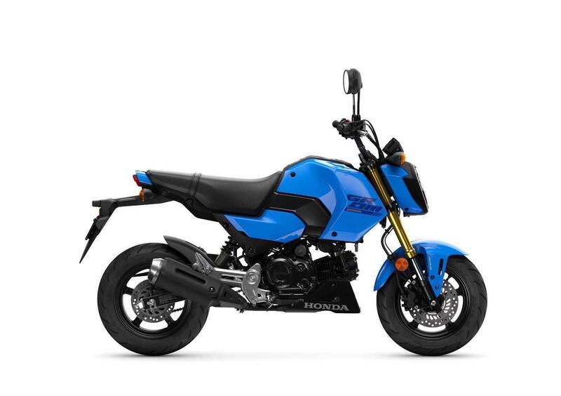 Honda MSX 125 MSX 125 Grom (2021 - 25) (2)