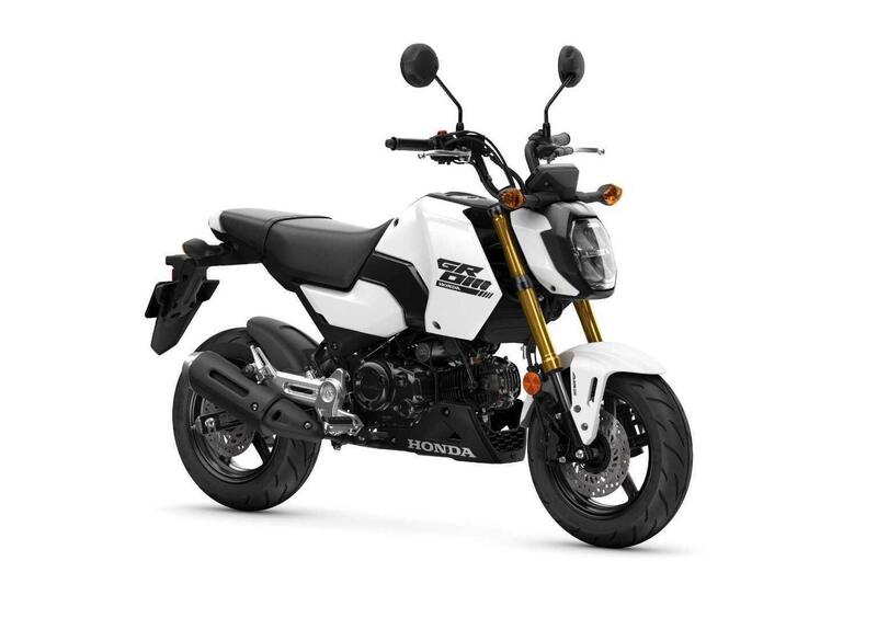 Honda MSX 125 MSX 125 Grom (2021 - 25) (3)