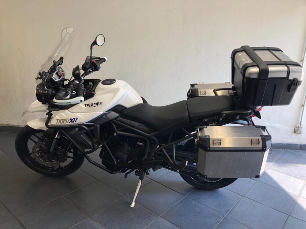 Triumph Tiger 800 XR (2015 - 17) (2)