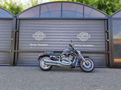 Harley-Davidson 1250 V-Rod (2008 - 12) - VRSCAW usata