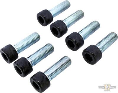 Kit viti forcella anteriore nere lucide per V-Rod 