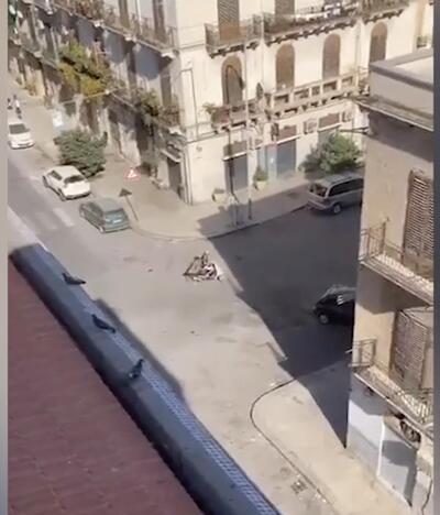 Trasporti eccezionali, ruba una panchina con lo scooter 