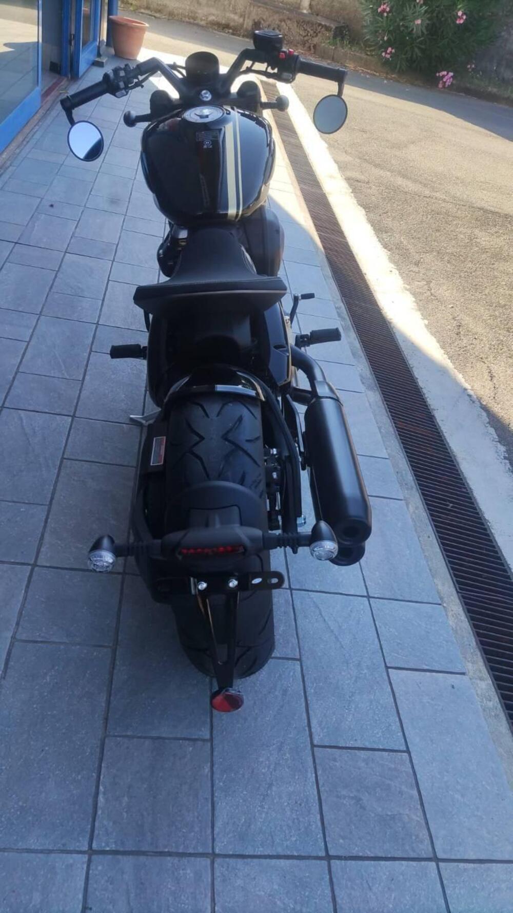 Benda Motorcycles Napoleon Bob 500 (2024 - 25) (4)