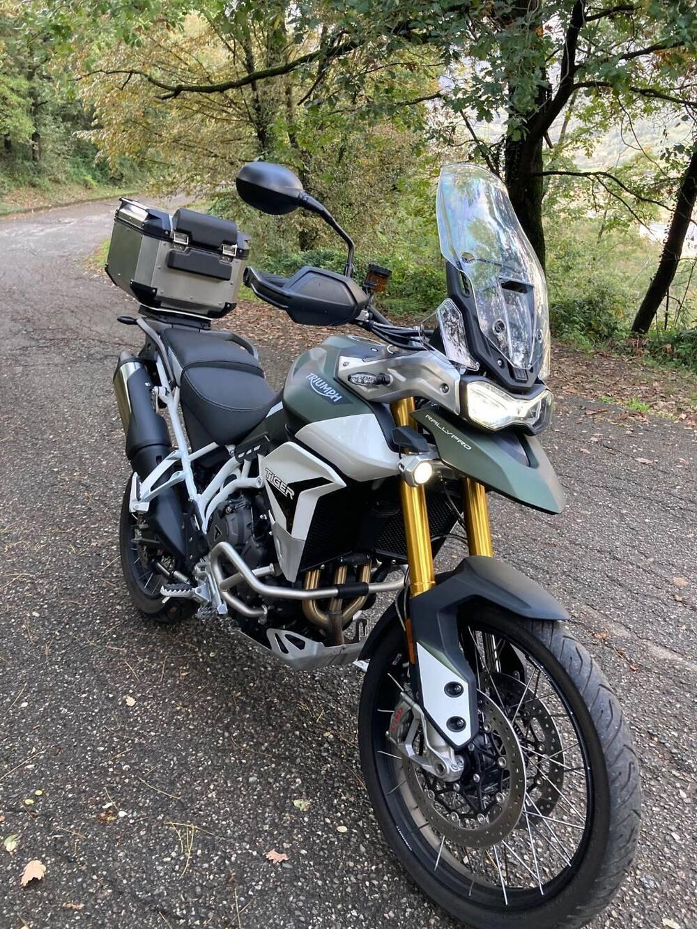 Triumph Tiger 900 Rally Pro (2020 - 23) (10)