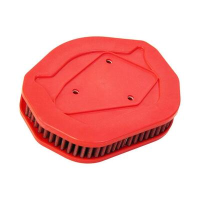 Filtro aria BMC per Sportster dal 2014 al 2020 con