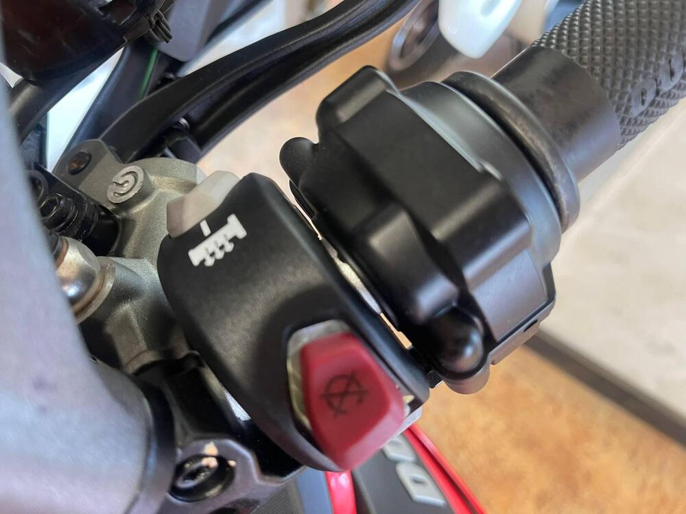 Ducati Multistrada 950 S (2019 - 20) (10)