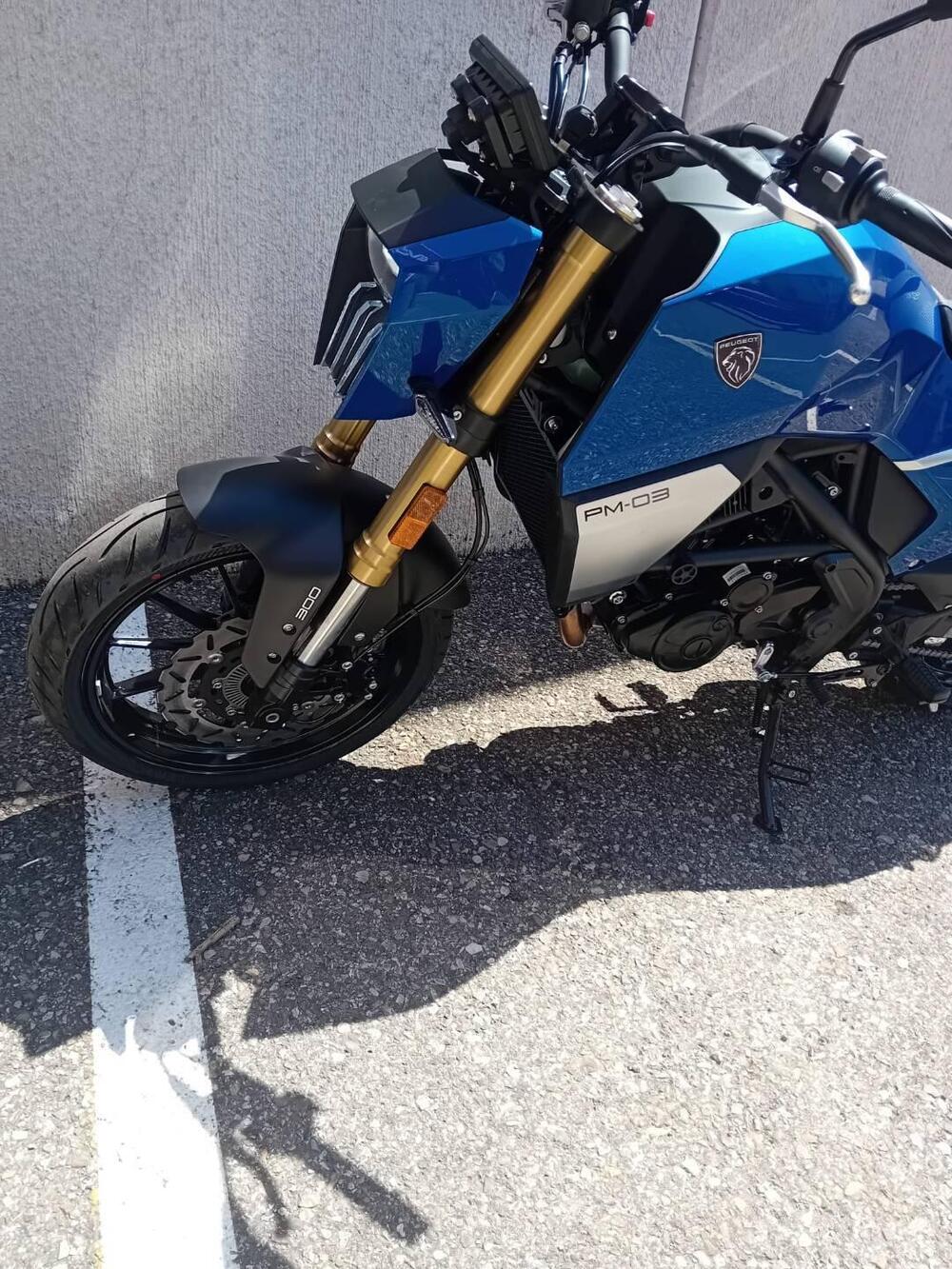 Peugeot PM-03 300 (2024 - 25) (2)